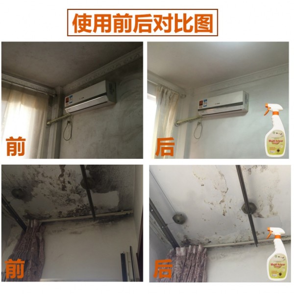 买2送1墙体墙面除霉剂墙纸霉菌清除剂彩色墙体除霉剂