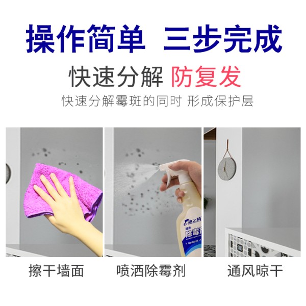 冰之情除霉剂墙体墙面去霉剂霉菌清除剂防霉神器去霉剂