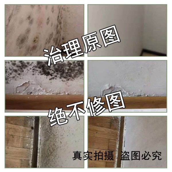 元榛除霉剂去霉斑霉点墙体墙面清洁剂家用卫生间去霉剂