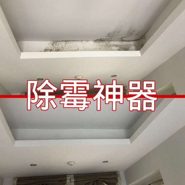墙体墙面除霉剂白墙墙壁发霉清洁剂去霉点剂墙体除霉剂