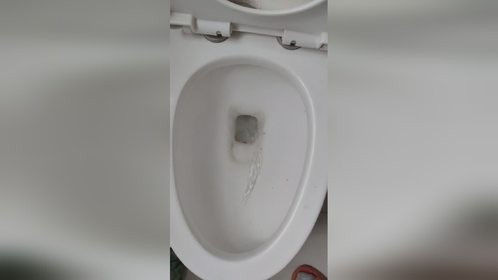 测评苦安水一小时清除马桶s弯沉年老垢