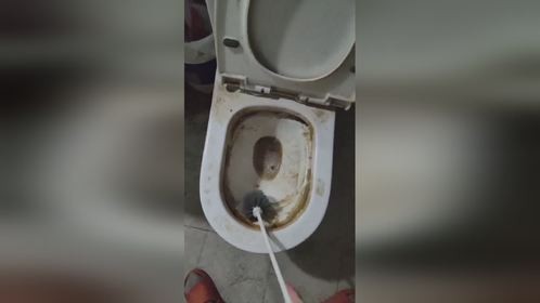马桶全是黄垢实测苦安酸去除效果