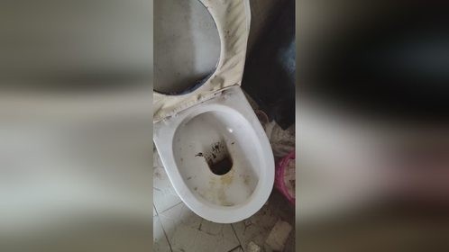 快速测试苦安酸清洗马桶内的坚硬结垢#苦安酸#