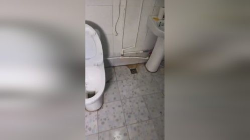 苦安酸快速清除马桶内s弯处石头一样的尿垢