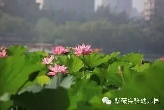 紫薇大班亲子活动推荐——变化的四季-幼师课件网第1张图片