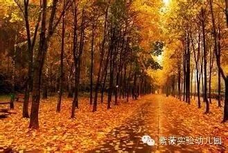 紫薇大班亲子活动推荐——变化的四季-幼师课件网第2张图片