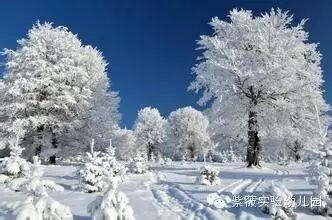 紫薇大班亲子活动推荐——变化的四季-幼师课件网第3张图片