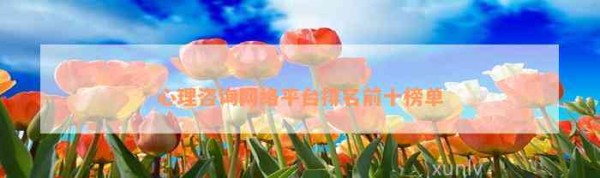 心理咨询网络平台排名前十榜单
