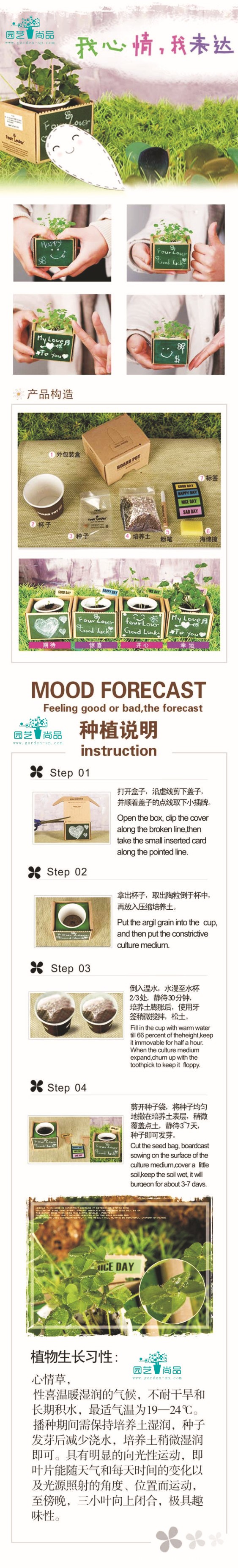 供应花卉盆栽 迷你植物 时尚园艺 DIY种植 热销 桌面装饰图片_6