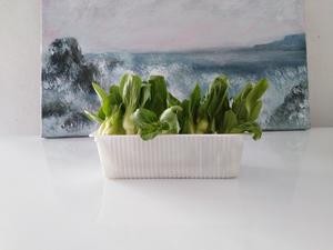 蔬菜菌菇食材保存方法冷冻蔬菜的做法 步骤3