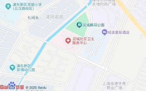 泥城社区卫生服务中心附近公交站点