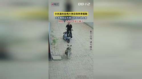 小伙遇未拴绳大狗没有转身就跑，大声喊叫让大狗一时间不敢上前，网友：小伙子气势上赢了