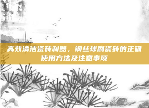 高效清洁瓷砖利器,钢丝球刷瓷砖的正确使用方法及注意事项