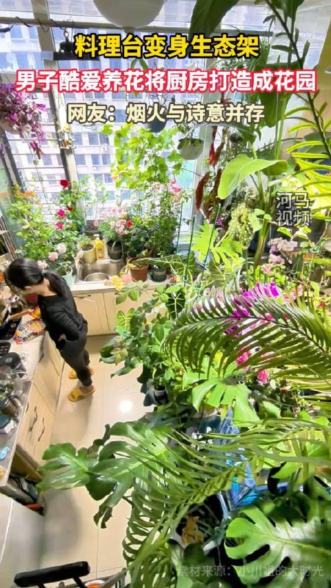 料理台变身生态架!男子酷爱养花将厨房打造成花园