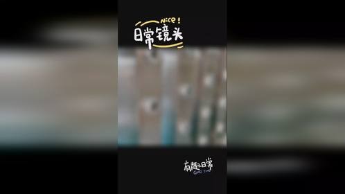 维安达斯旗舰版激光探测器出货用于某文化遗产周界安防项目