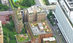 屋顶花园及施工技术