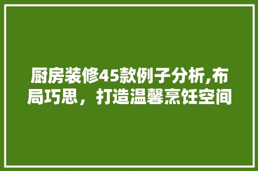 厨房装修45款例子分析,布局巧思，打造温馨烹饪空间 家居装修