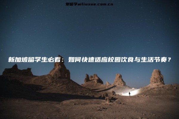 新加坡留学生必看：如何快速适应校园饮食与生活节奏？