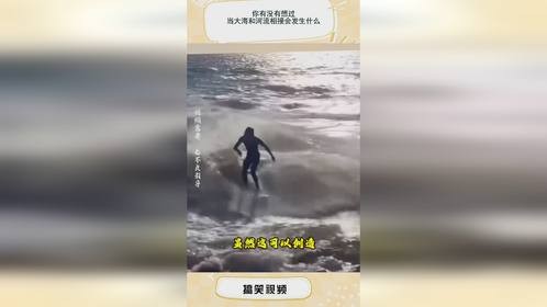 你有没有想过，当大海和河流相接会发生什么