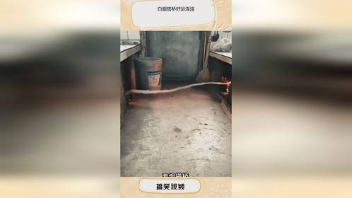 白烟搭桥好运连连