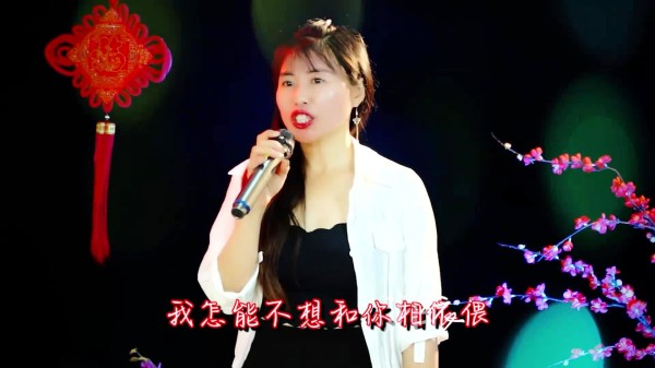 一首DJ情歌《久醉风雨情》，好听悦耳，醉人醉心