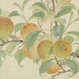 豆友deux春晓
