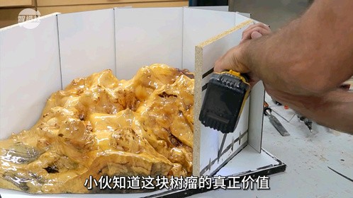 惊艳！手艺人花800元买树瘤，创造出令人惊叹的艺术品！