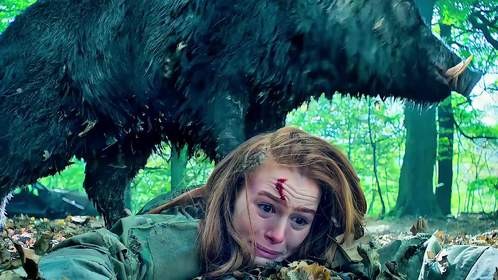 女人在原始森林惨遭野猪袭击！