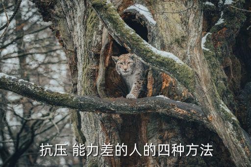  抗压 能力差的人的四种方法
