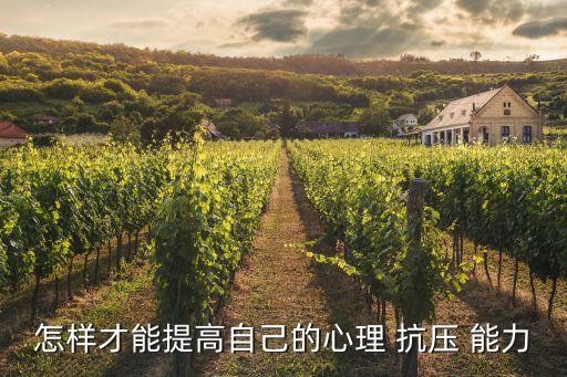 怎样才能提高自己的心理 抗压 能力