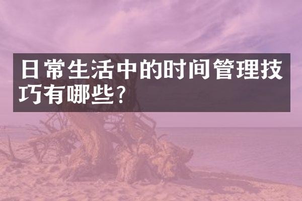 日常生活中的时间管理技巧有哪些?