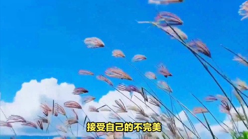 9个培养好心态的方法
