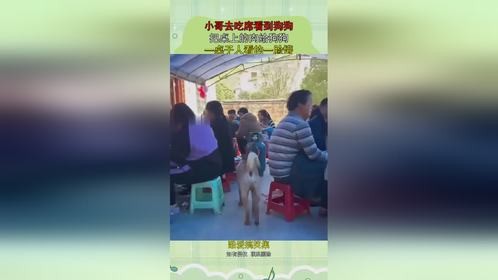小哥去吃席看到狗狗，把桌上的肉给狗狗，一桌子人看的一脸懵！
