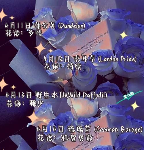 家居风水佳品——石竹花的寓意与益处（拥抱好运，让家里的石竹花为你带来福气与美好生活）