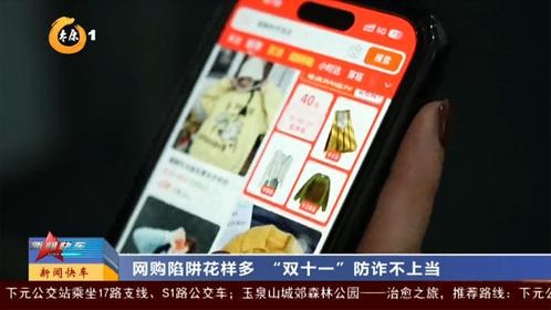 网购陷阱花样多 “双十一”防诈不上当