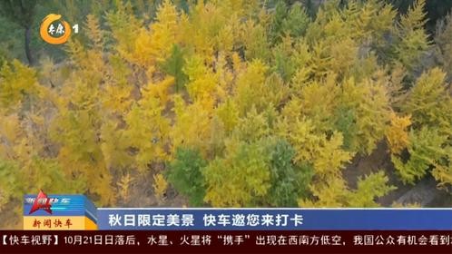 秋日限定美景 快车邀您来打卡