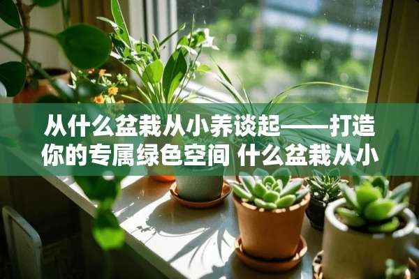 从什么盆栽从小养谈起——打造你的专属绿色空间 什么盆栽从小养的好