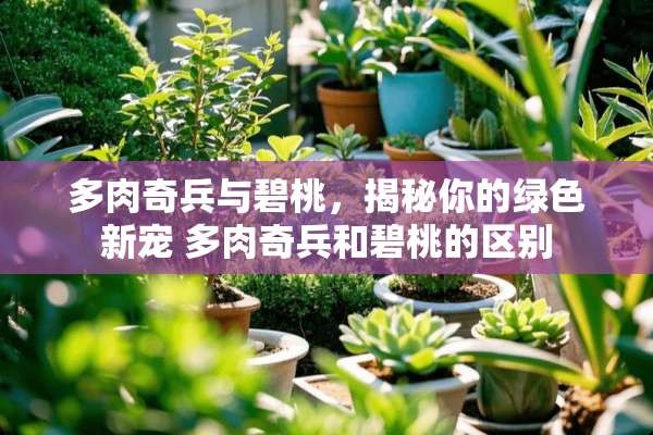 多肉奇兵与碧桃，揭秘你的绿色新宠 多肉奇兵和碧桃的区别