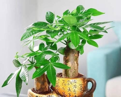 绿色世界——探索自然之美（探索植物世界中的绿色秘密）