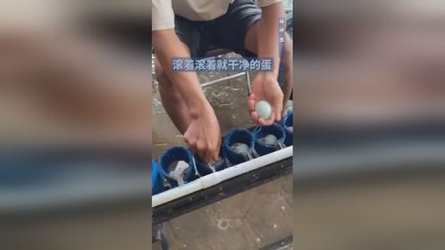 滚着滚着就干净的蛋