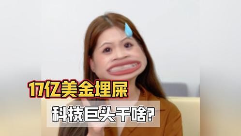 AI的碳代价？科技巨头17亿美金埋屎计划……