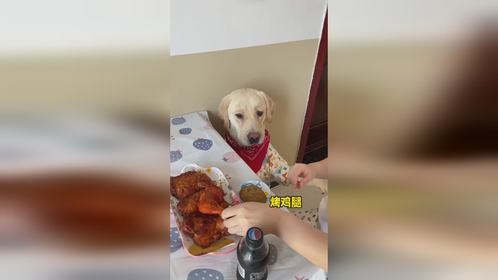 狗子：你怎么吃、我就怎么吃