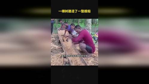 一棵树建造了一整艘船 一棵树建造了一整艘船