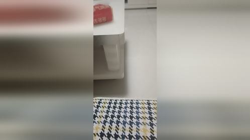 放鞭炮，过大年