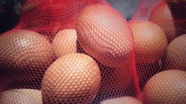 30种营养价值高的食物，不吃太可惜了，转给家人朋友！