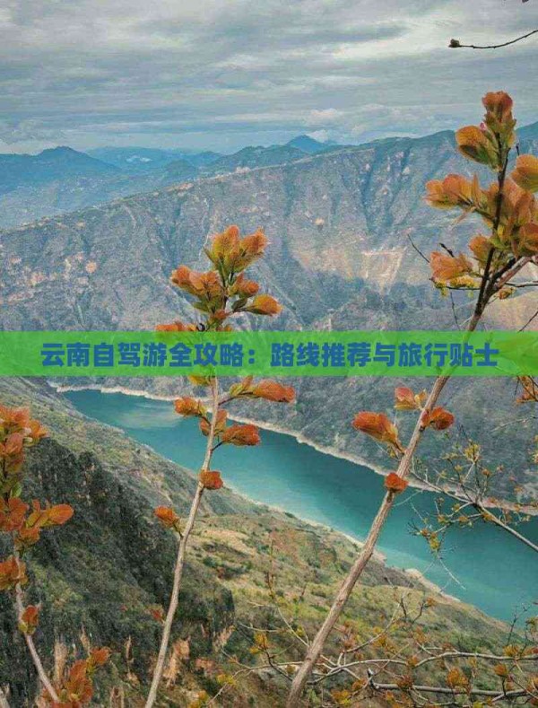 云南自驾游全攻略：路线推荐与旅行贴士