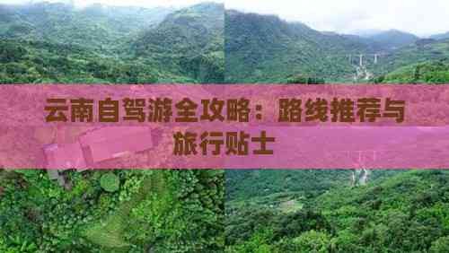 云南自驾游全攻略：路线推荐与旅行贴士