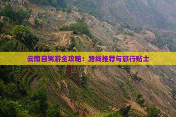 云南自驾游全攻略：路线推荐与旅行贴士