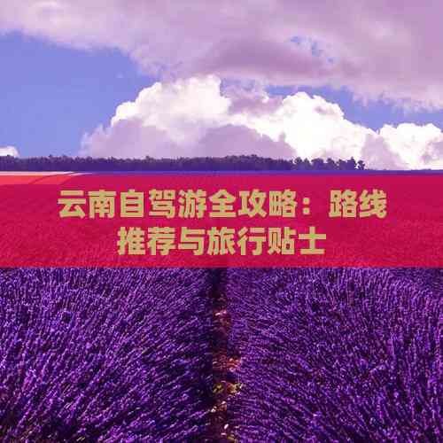 云南自驾游全攻略：路线推荐与旅行贴士
