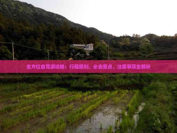 全方位自驾游攻略：行程规划、必去景点、注意事项全解析